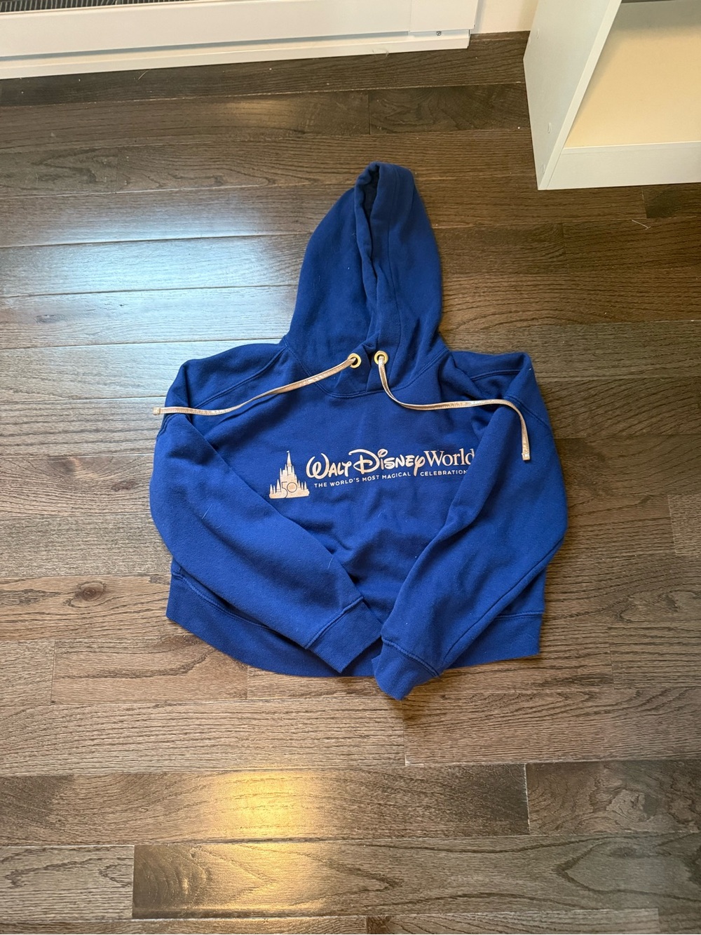 Walt Disney World Royal Blue 50th Anniversary Hoodie